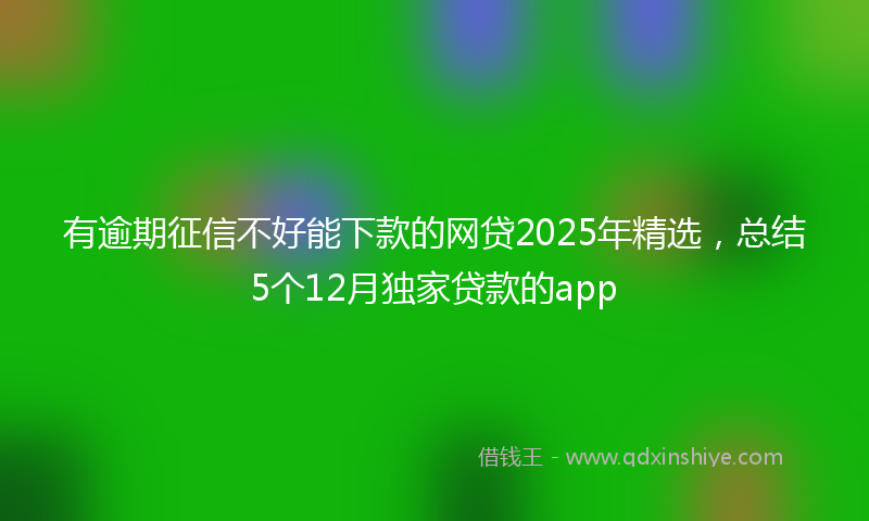 有逾期征信不好能下款的网贷2025年精选，总结5个12月独家贷款的app