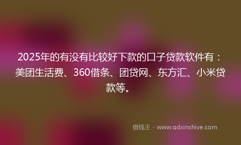 2025年的有没有比较好下款的口子贷款软件有：美团生活费、360借条、团贷网、东方汇、小米贷款等。