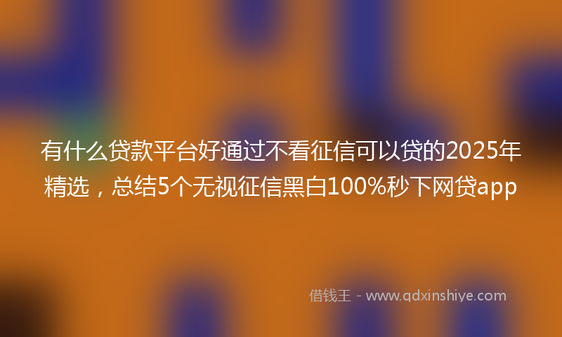 有什么贷款平台好通过不看征信可以贷的2025年精选，总结5个无视征信黑白100%秒下网贷app