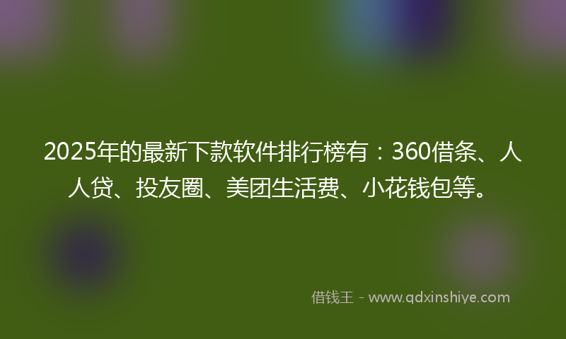 2025年的最新下款软件排行榜有：360借条、人人贷、投友圈、美团生活费、小花钱包等。