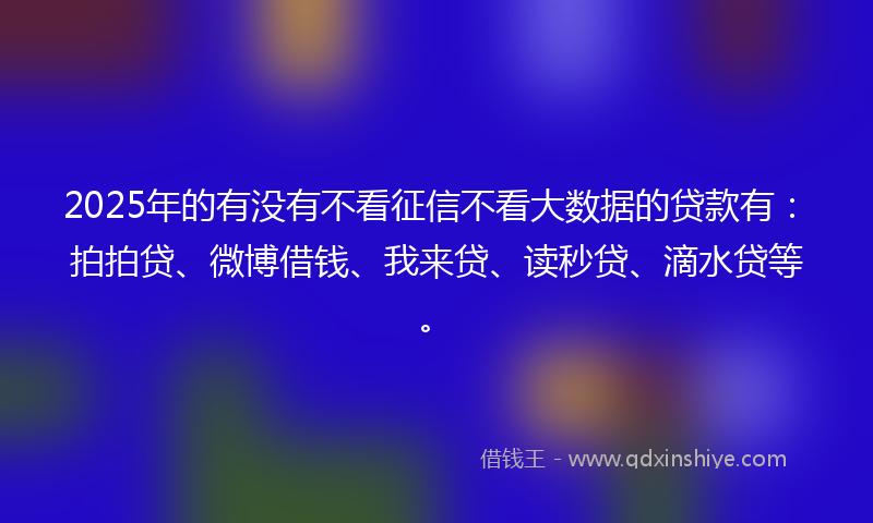 2025年的有没有不看征信不看大数据的贷款有：拍拍贷、微博借钱、我来贷、读秒贷、滴水贷等。