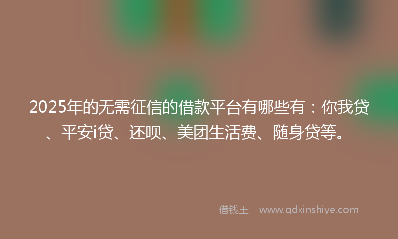 2025年的无需征信的借款平台有哪些有：你我贷、平安i贷、还呗、美团生活费、随身贷等。