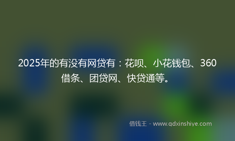 2025年的有没有网贷有：花呗、小花钱包、360借条、团贷网、快贷通等。