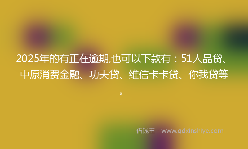 2025年的有正在逾期,也可以下款有：51人品贷、中原消费金融、功夫贷、维信卡卡贷、你我贷等。
