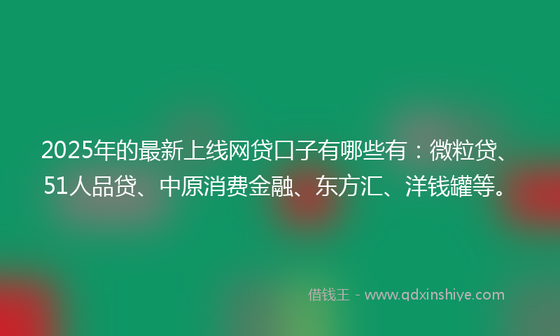 2025年的最新上线网贷口子有哪些有：微粒贷、51人品贷、中原消费金融、东方汇、洋钱罐等。