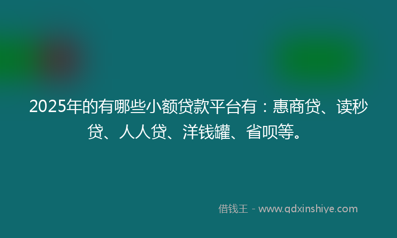 2025年的有哪些小额贷款平台有：惠商贷、读秒贷、人人贷、洋钱罐、省呗等。