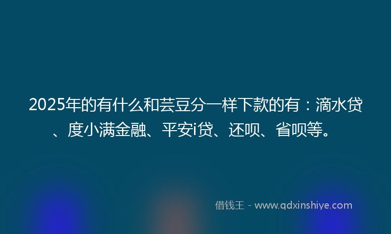 2025年的有什么和芸豆分一样下款的有：滴水贷、度小满金融、平安i贷、还呗、省呗等。
