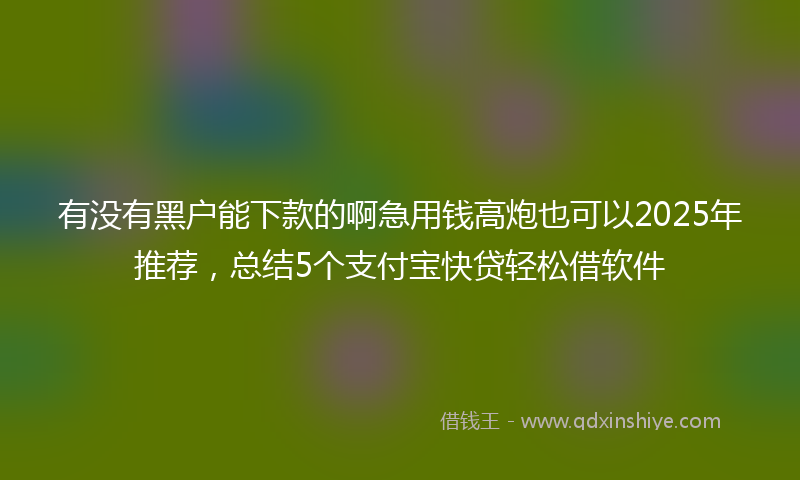 有没有黑户能下款的啊急用钱高炮也可以2025年推荐，总结5个支付宝快贷轻松借软件