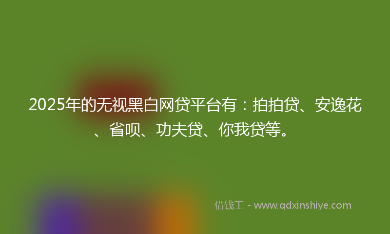 2025年的无视黑白网贷平台有：拍拍贷、安逸花、省呗、功夫贷、你我贷等。
