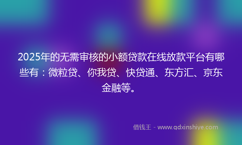 2025年的无需审核的小额贷款在线放款平台有哪些有：微粒贷、你我贷、快贷通、东方汇、京东金融等。
