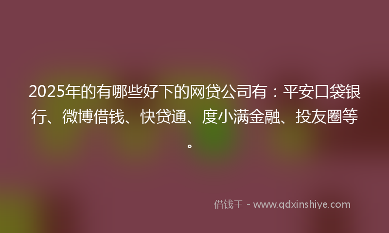 2025年的有哪些好下的网贷公司有：平安口袋银行、微博借钱、快贷通、度小满金融、投友圈等。
