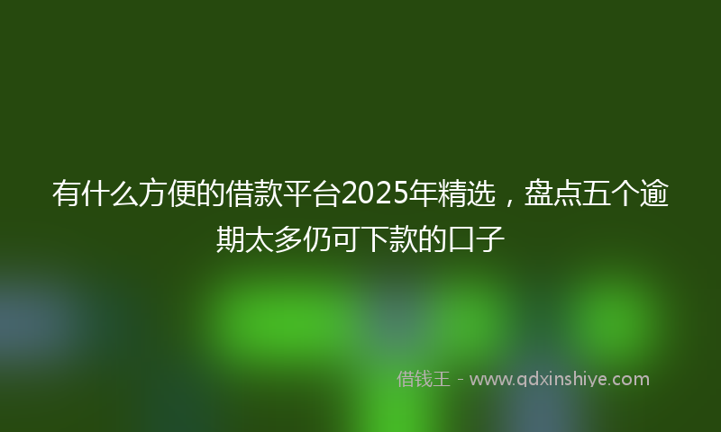 有什么方便的借款平台2025年精选，盘点五个逾期太多仍可下款的口子