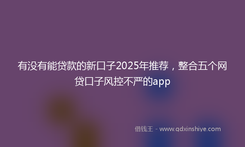 有没有能贷款的新口子2025年推荐，整合五个网贷口子风控不严的app
