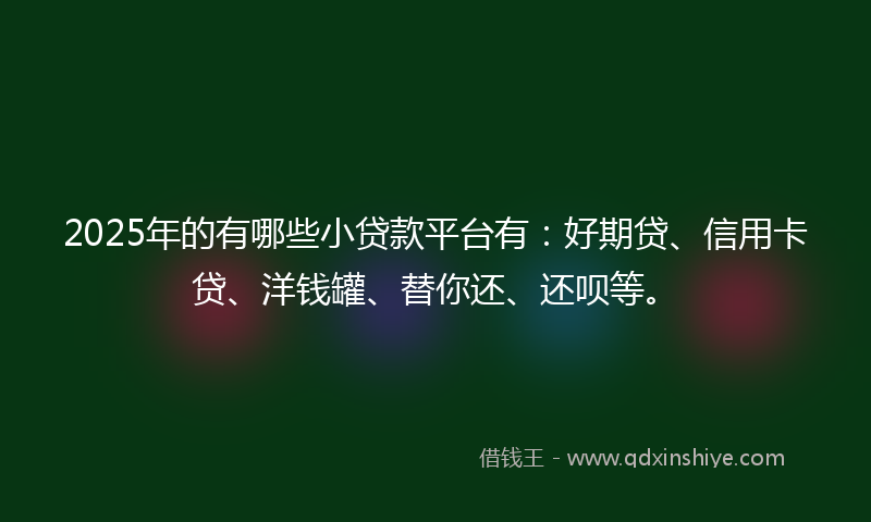 2025年的有哪些小贷款平台有：好期贷、信用卡贷、洋钱罐、替你还、还呗等。