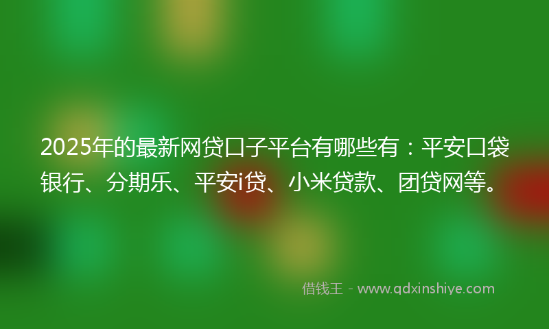 2025年的最新网贷口子平台有哪些有：平安口袋银行、分期乐、平安i贷、小米贷款、团贷网等。