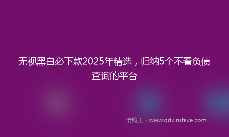 无视黑白必下款2025年精选，归纳5个不看负债查询的平台