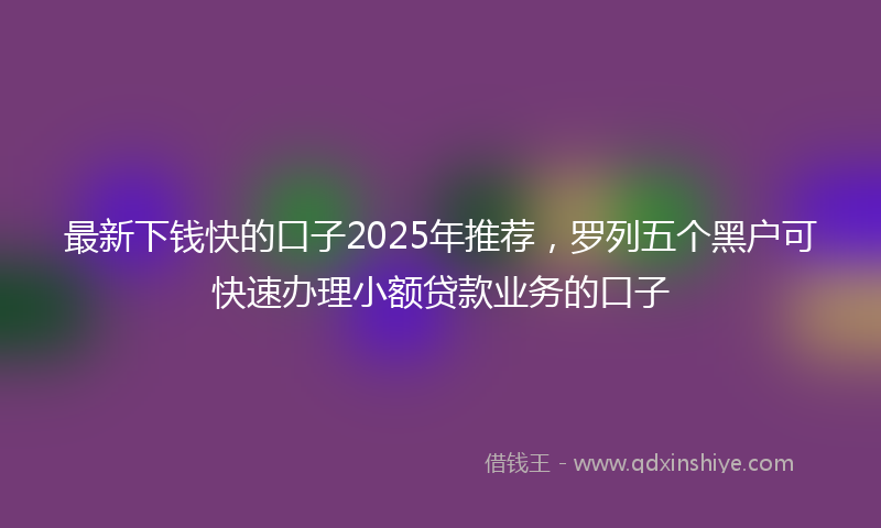 最新下钱快的口子2025年推荐，罗列五个黑户可快速办理小额贷款业务的口子