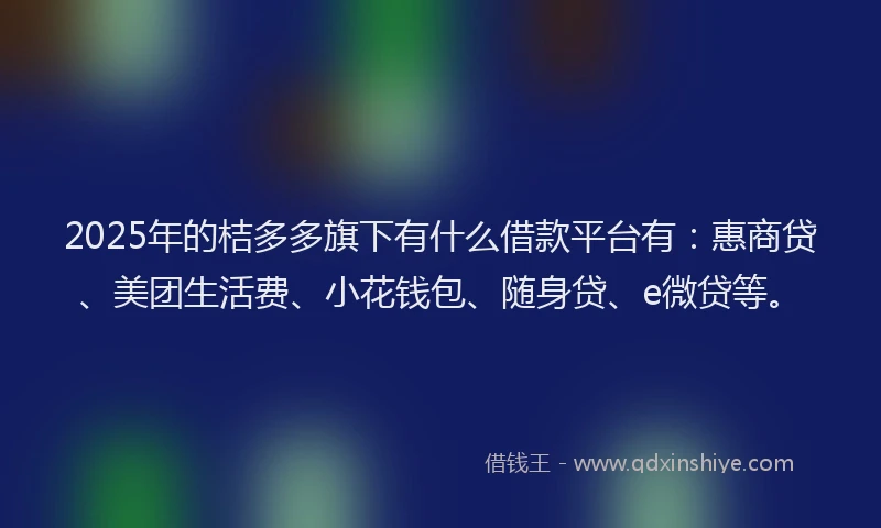2025年的桔多多旗下有什么借款平台有：惠商贷、美团生活费、小花钱包、随身贷、e微贷等。