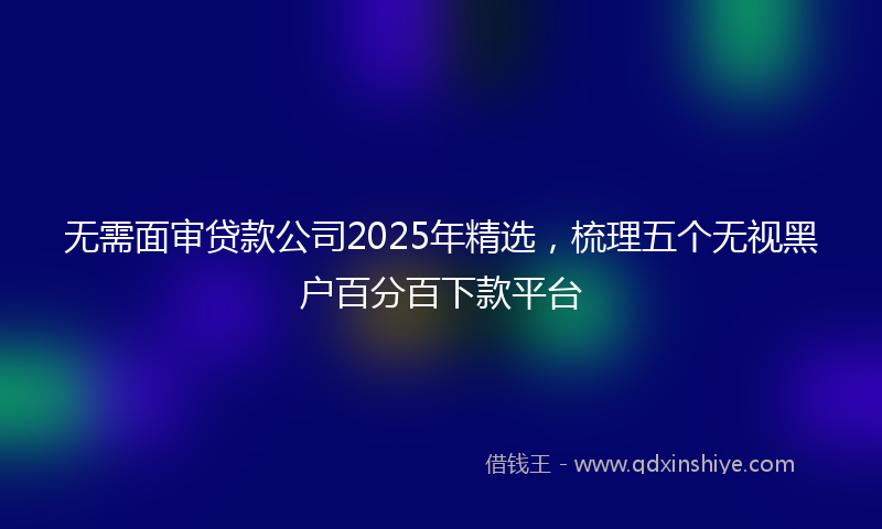 无需面审贷款公司2025年精选，梳理五个无视黑户百分百下款平台