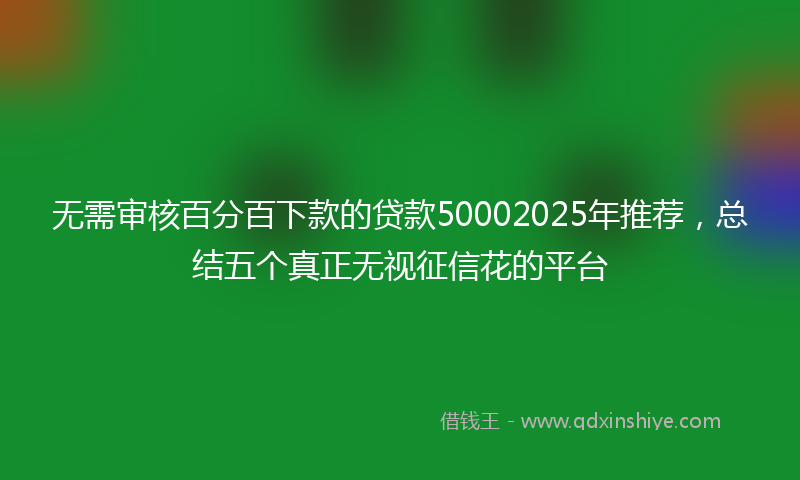 无需审核百分百下款的贷款50002025年推荐，总结五个真正无视征信花的平台