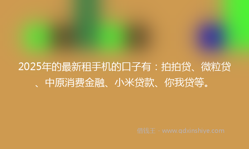 2025年的最新租手机的口子有：拍拍贷、微粒贷、中原消费金融、小米贷款、你我贷等。