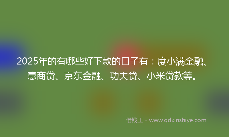 2025年的有哪些好下款的口子有：度小满金融、惠商贷、京东金融、功夫贷、小米贷款等。