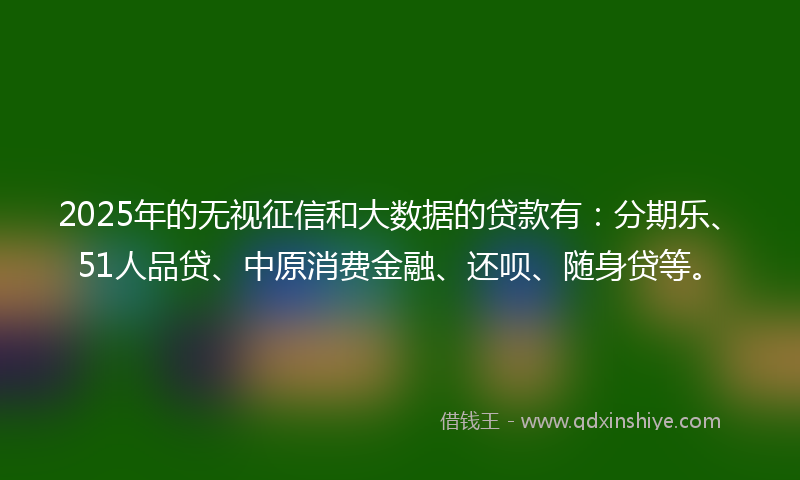 2025年的无视征信和大数据的贷款有：分期乐、51人品贷、中原消费金融、还呗、随身贷等。