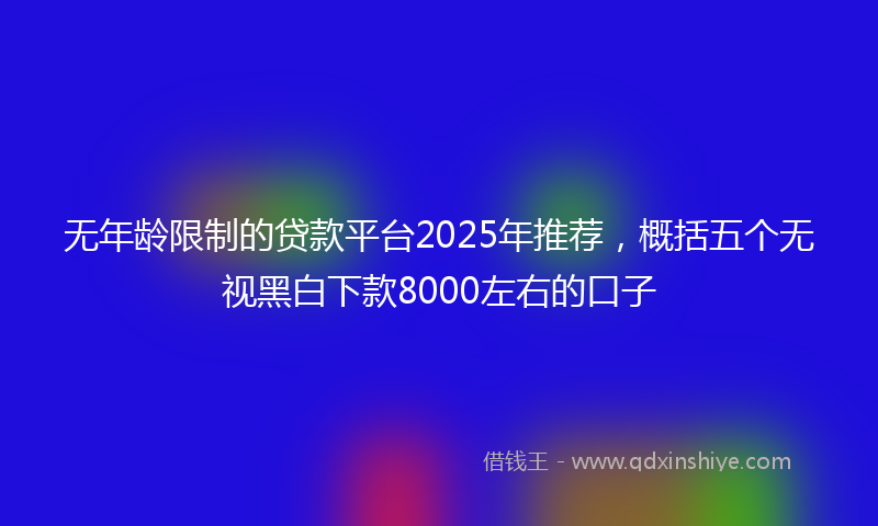 无年龄限制的贷款平台2025年推荐，概括五个无视黑白下款8000左右的口子