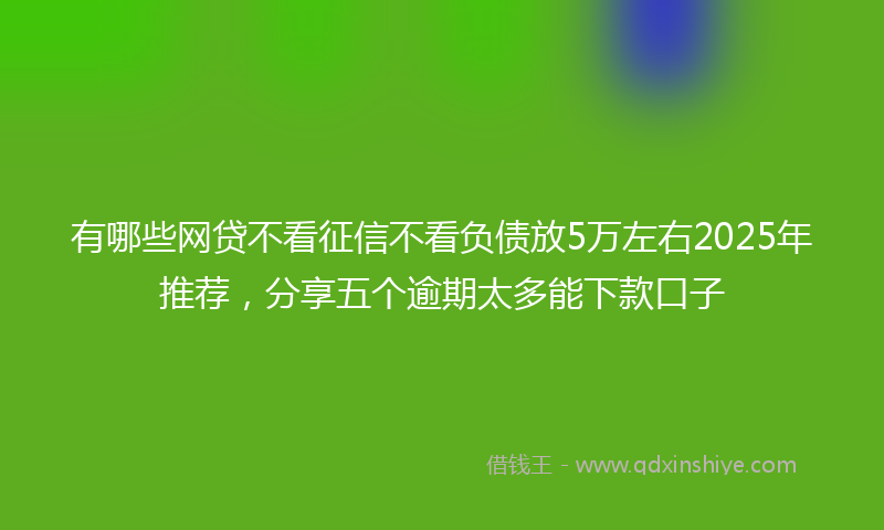 有哪些网贷不看征信不看负债放5万左右2025年推荐，分享五个逾期太多能下款口子