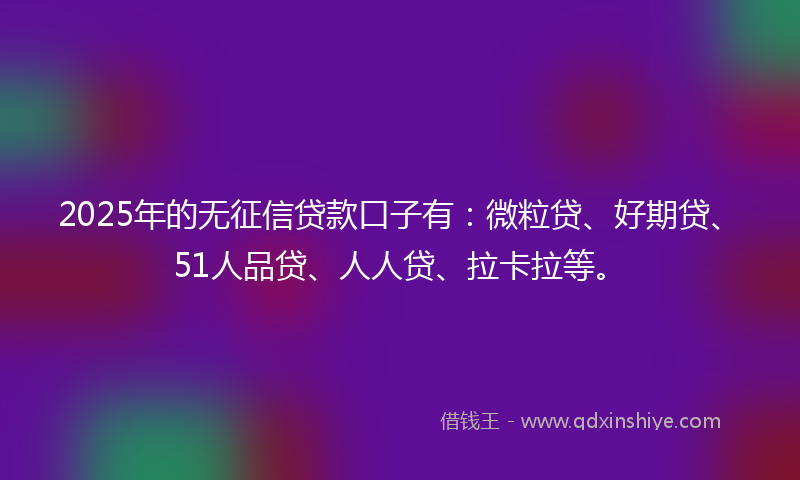 2025年的无征信贷款口子有：微粒贷、好期贷、51人品贷、人人贷、拉卡拉等。