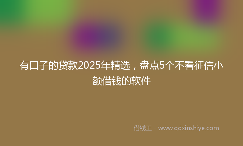 有口子的贷款2025年精选，盘点5个不看征信小额借钱的软件