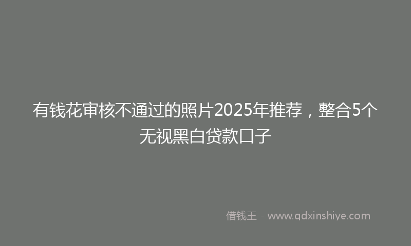 有钱花审核不通过的照片2025年推荐，整合5个无视黑白贷款口子