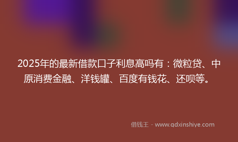 2025年的最新借款口子利息高吗有：微粒贷、中原消费金融、洋钱罐、百度有钱花、还呗等。