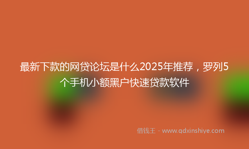 最新下款的网贷论坛是什么2025年推荐，罗列5个手机小额黑户快速贷款软件