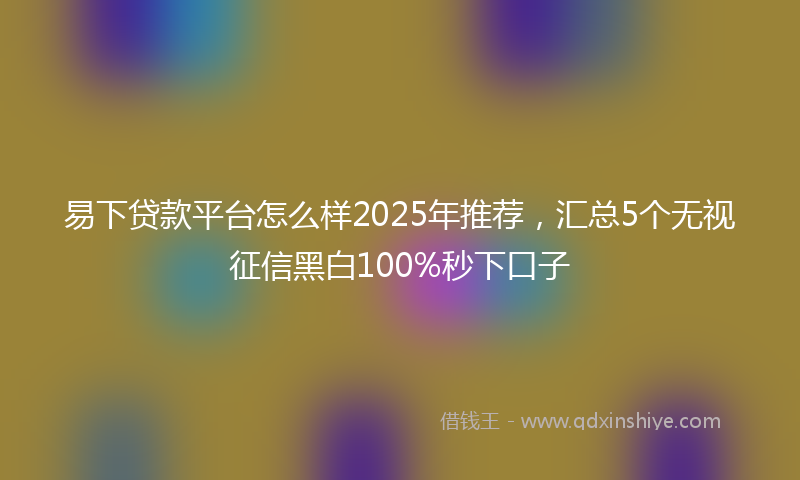 易下贷款平台怎么样2025年推荐，汇总5个无视征信黑白100%秒下口子