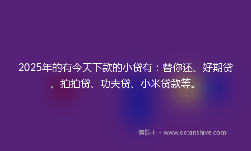 2025年的有今天下款的小贷有：替你还、好期贷、拍拍贷、功夫贷、小米贷款等。