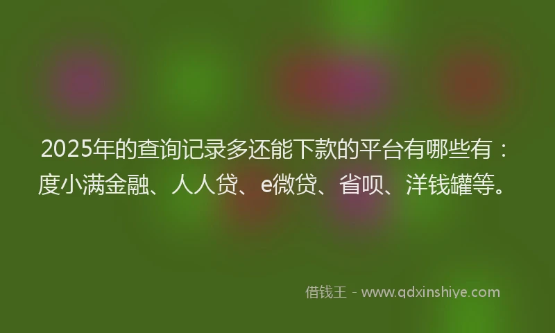 2025年的查询记录多还能下款的平台有哪些有：度小满金融、人人贷、e微贷、省呗、洋钱罐等。