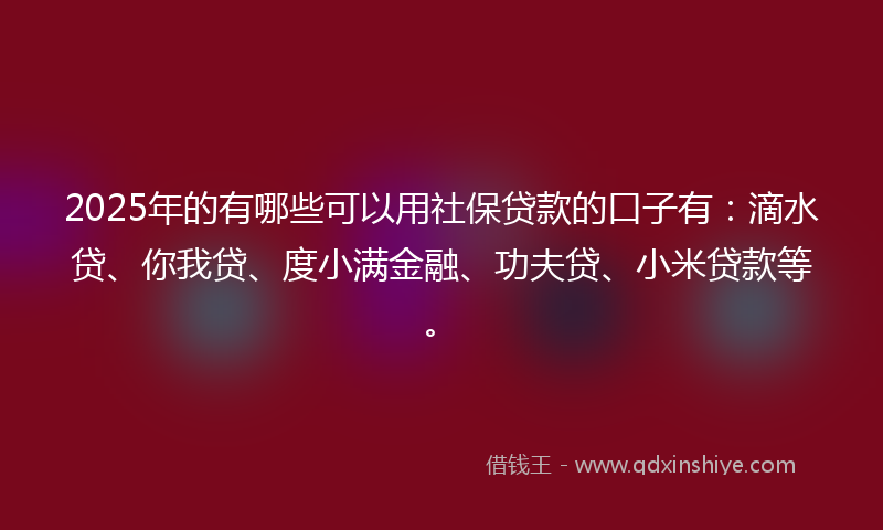 2025年的有哪些可以用社保贷款的口子有：滴水贷、你我贷、度小满金融、功夫贷、小米贷款等。
