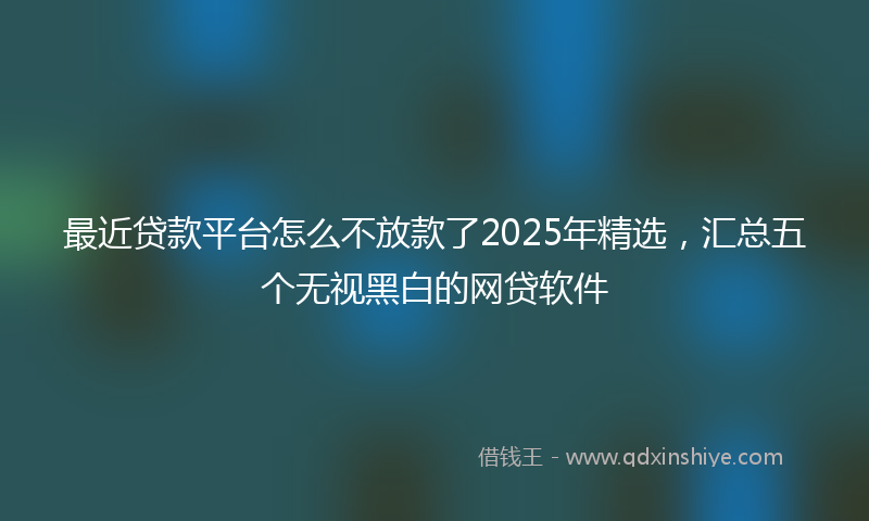 最近贷款平台怎么不放款了2025年精选，汇总五个无视黑白的网贷软件