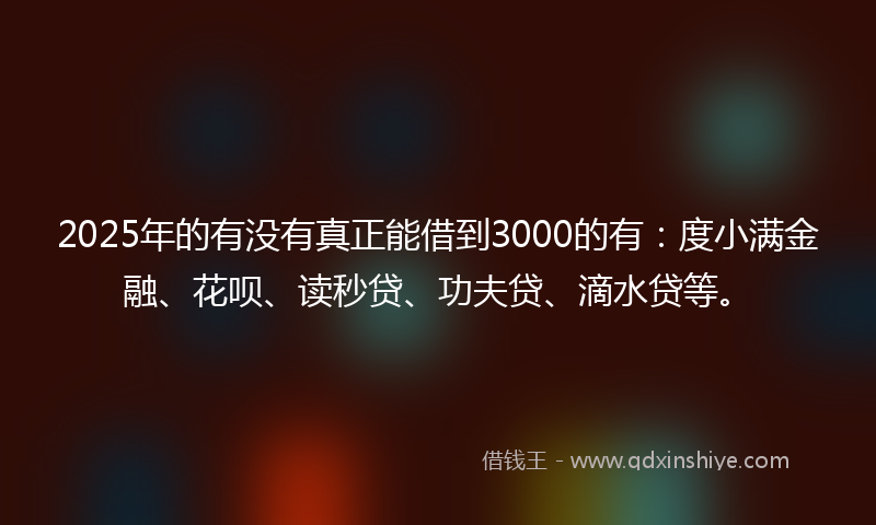 2025年的有没有真正能借到3000的有：度小满金融、花呗、读秒贷、功夫贷、滴水贷等。