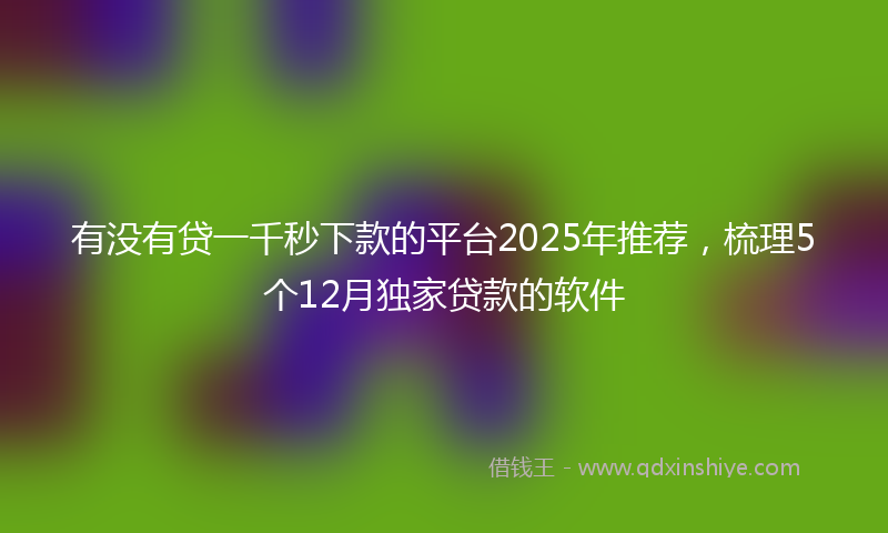 有没有贷一千秒下款的平台2025年推荐，梳理5个12月独家贷款的软件