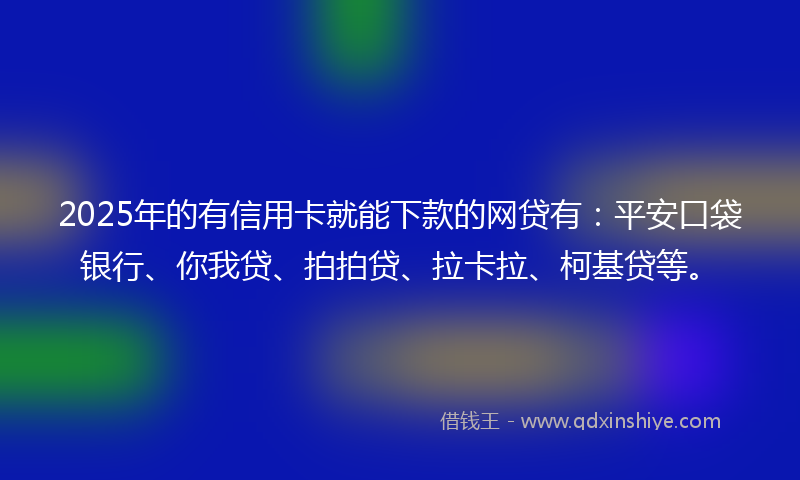 2025年的有信用卡就能下款的网贷有：平安口袋银行、你我贷、拍拍贷、拉卡拉、柯基贷等。