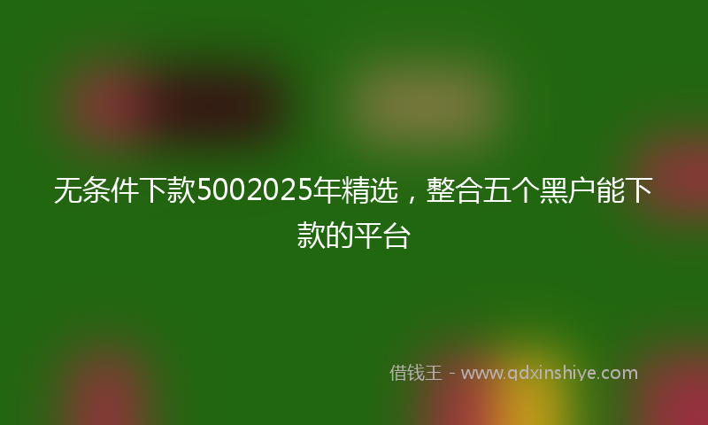 无条件下款5002025年精选，整合五个黑户能下款的平台