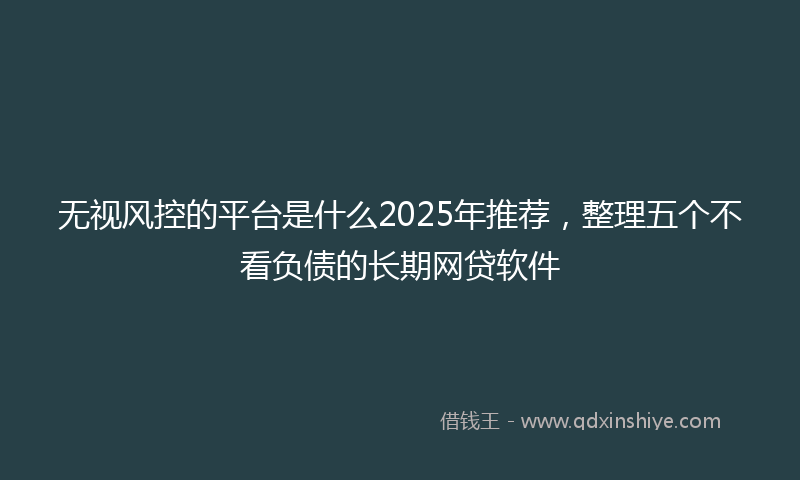 无视风控的平台是什么2025年推荐，整理五个不看负债的长期网贷软件