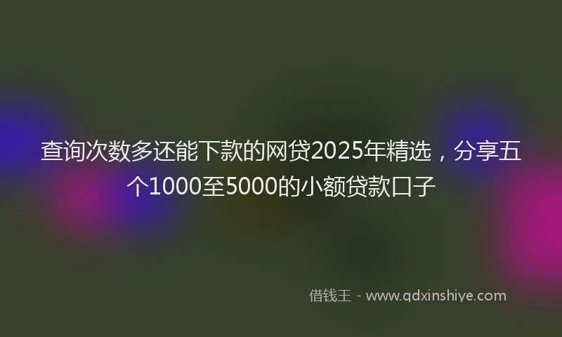 查询次数多还能下款的网贷2025年精选，分享五个1000至5000的小额贷款口子
