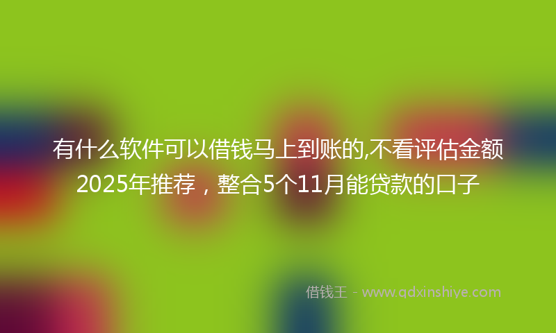 有什么软件可以借钱马上到账的,不看评估金额2025年推荐，整合5个11月能贷款的口子