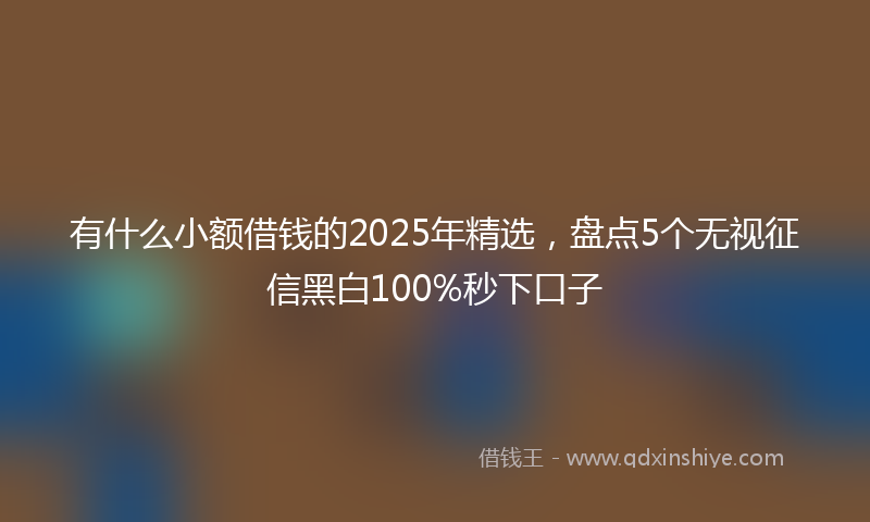 有什么小额借钱的2025年精选，盘点5个无视征信黑白100%秒下口子