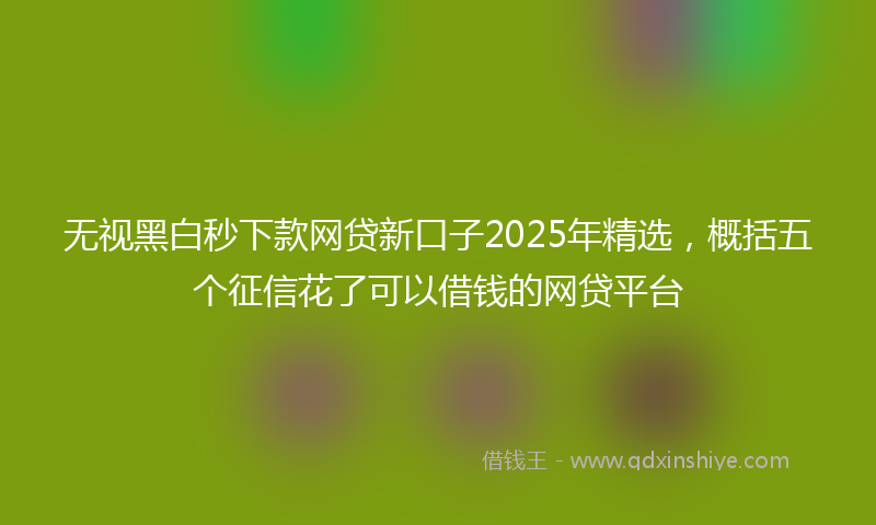 无视黑白秒下款网贷新口子2025年精选，概括五个征信花了可以借钱的网贷平台