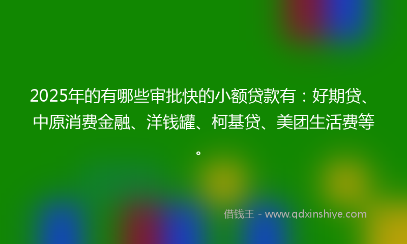 2025年的有哪些审批快的小额贷款有：好期贷、中原消费金融、洋钱罐、柯基贷、美团生活费等。