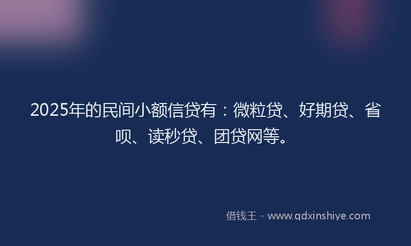 2025年的民间小额信贷有：微粒贷、好期贷、省呗、读秒贷、团贷网等。